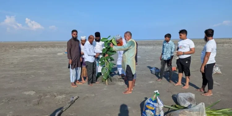 বঙ্গোপসাগরে জেগে ওঠা চর বিজয়ে জামায়াতের বৃক্ষরোপণ