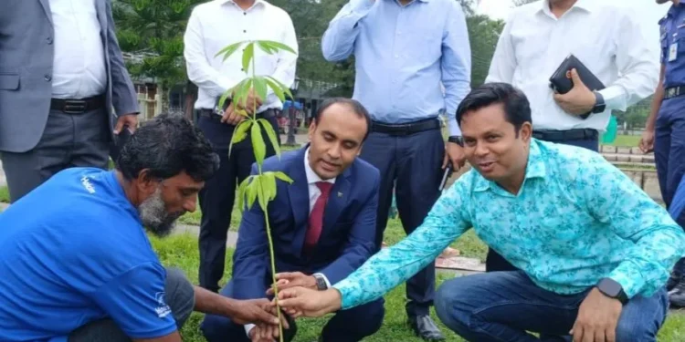 সবুজ ছাতিম রোপণের মধ্য দিয়ে পটুয়াখালীর নতুন ডিসির দায়িত্ব গ্রহণ