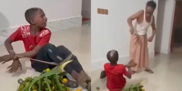 সুপারি চুরির অভিযোগে শিশুনির্যাতন: সামাজিক মাধ্যমে ভিডিও ভাইরাল, দুই যুবক আটক