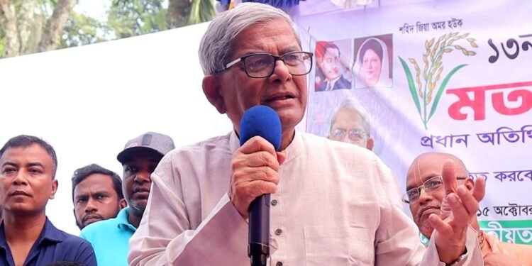 দেশ বাঁচাতে দ্রুত নির্বাচন দরকার- মির্জা ফখরুল