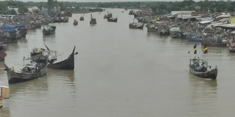 এক ট্রলারেই ধরা পড়লো ৩৮ লাখ টাকার ইলিশ