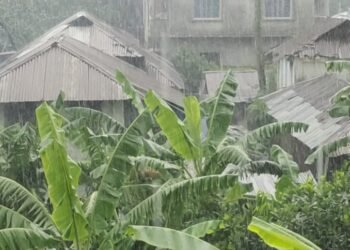 সক্রিয় মৌসুমী বায়ুর প্রভাবে উপকূলে টানা বৃষ্টিপাত, জনজীবনে দুর্ভোগ