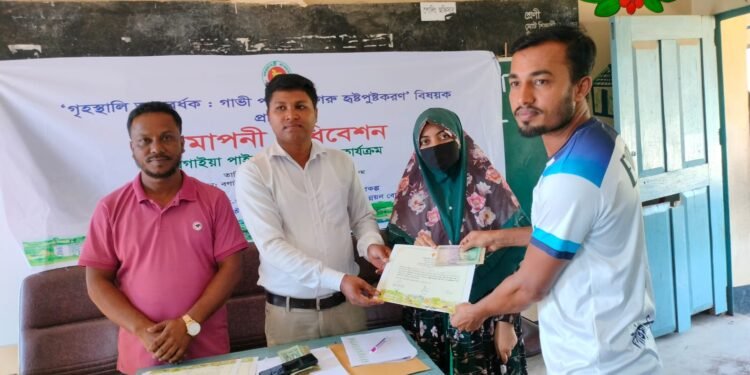 বগাইয়া পাইলট গ্রামে ৫ দিন ব্যাপী গাভী পালন ও গরু হৃষ্টপুষ্টকরণ বিষয়ক প্রশিক্ষণ সম্পন্ন