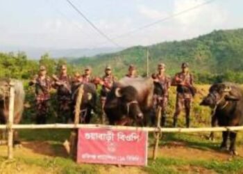 জৈন্তাপুর সীমান্তে বিজিবির অভিযানে ৮টি গরু-মহিষ জব্দ