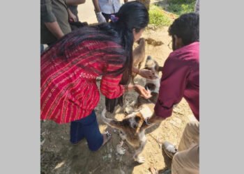 শাবিপ্রবিতে বিনামূল্যে জলাতঙ্ক টিকা প্রদান