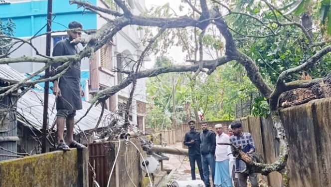 কমলগঞ্জে ঝড়ে গাছ-খুঁটি ভেঙে ৩ ট্রান্সফরমার ক্ষতিগ্রস্ত, দীর্ঘসময় বিদ্যুৎ বন্ধ