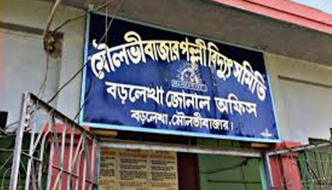 বড়লেখায় ঝড়ে ক্ষতিগ্রস্ত বিদ্যুৎ লাইন মেরামতে দেরি হওয়ায় লাইনম্যানকে হুমকি, অপপ্রচার