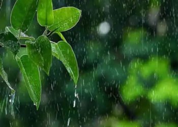 ধেয়ে আসছে বৃষ্টি বলয়, সবচেয়ে বেশি সক্রিয় থাকবে সিলেটে