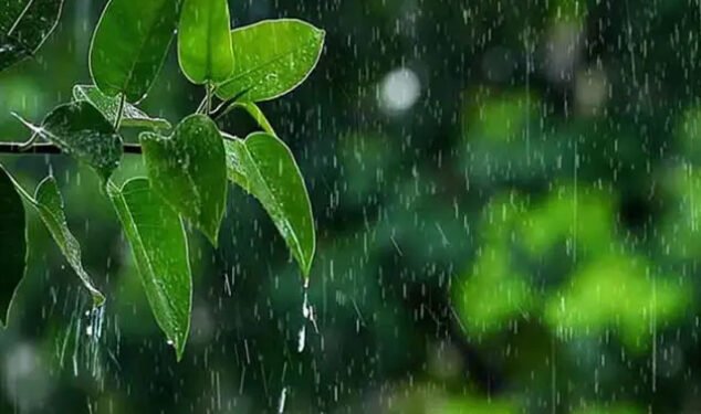 ধেয়ে আসছে বৃষ্টি বলয়, সবচেয়ে বেশি সক্রিয় থাকবে সিলেটে