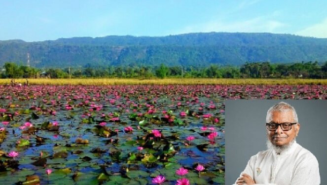 শাপালা বিলের চারপাশে হচ্ছে ওয়াকওয়ে, কটেজ ও বিশ্রামগার